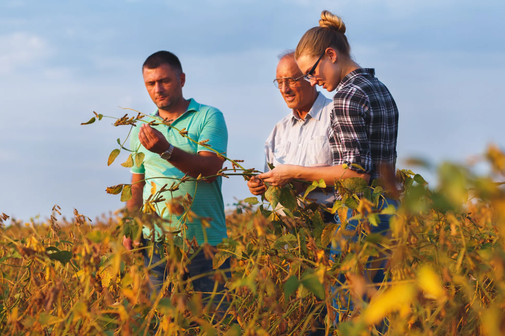 Syndev - Formation pour les métiers de l'agriculture dans l'adoption des biosolutions