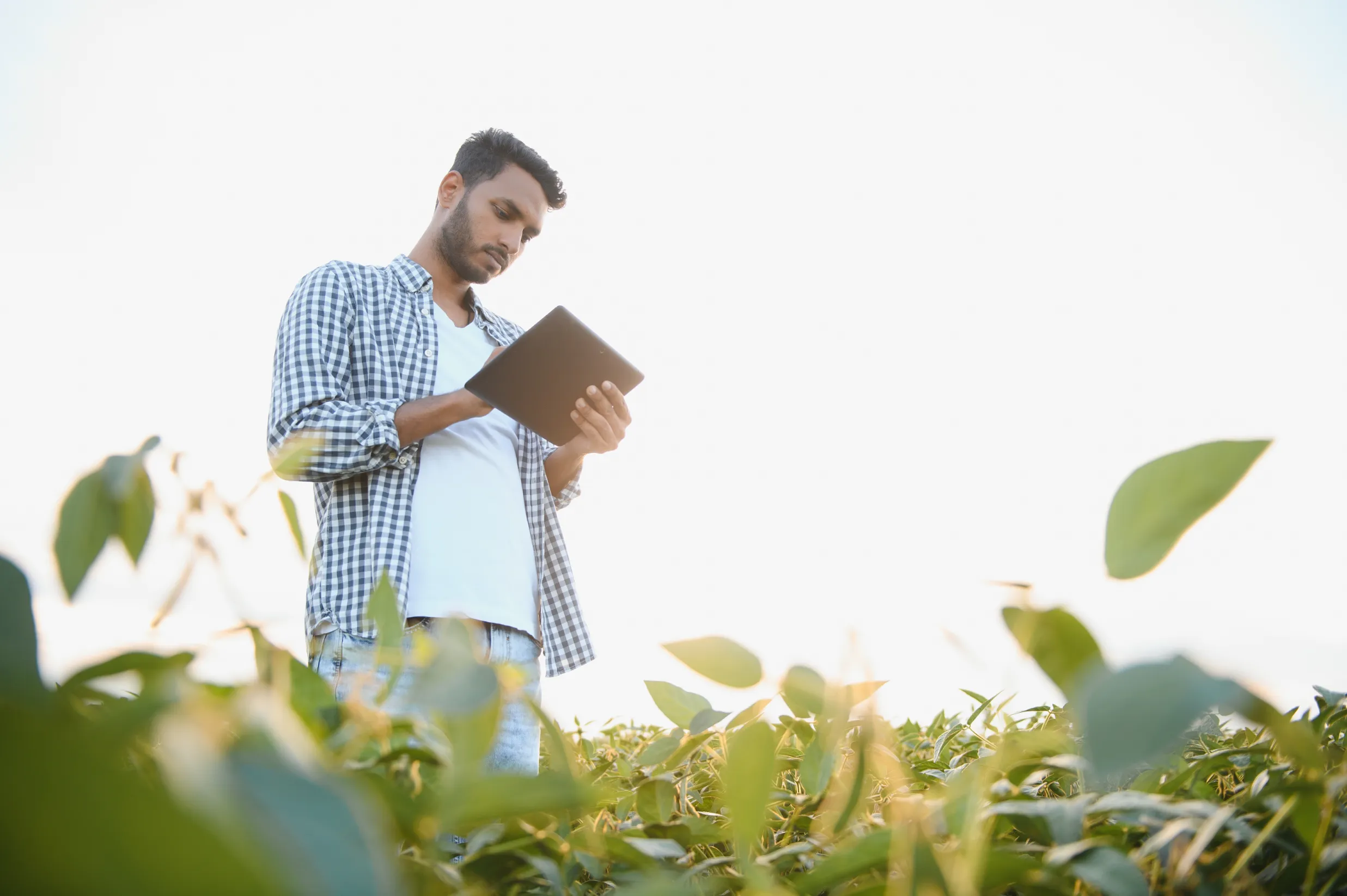 Agronomie et biosolutions, quels publics pour les solutions agricoles biologiques