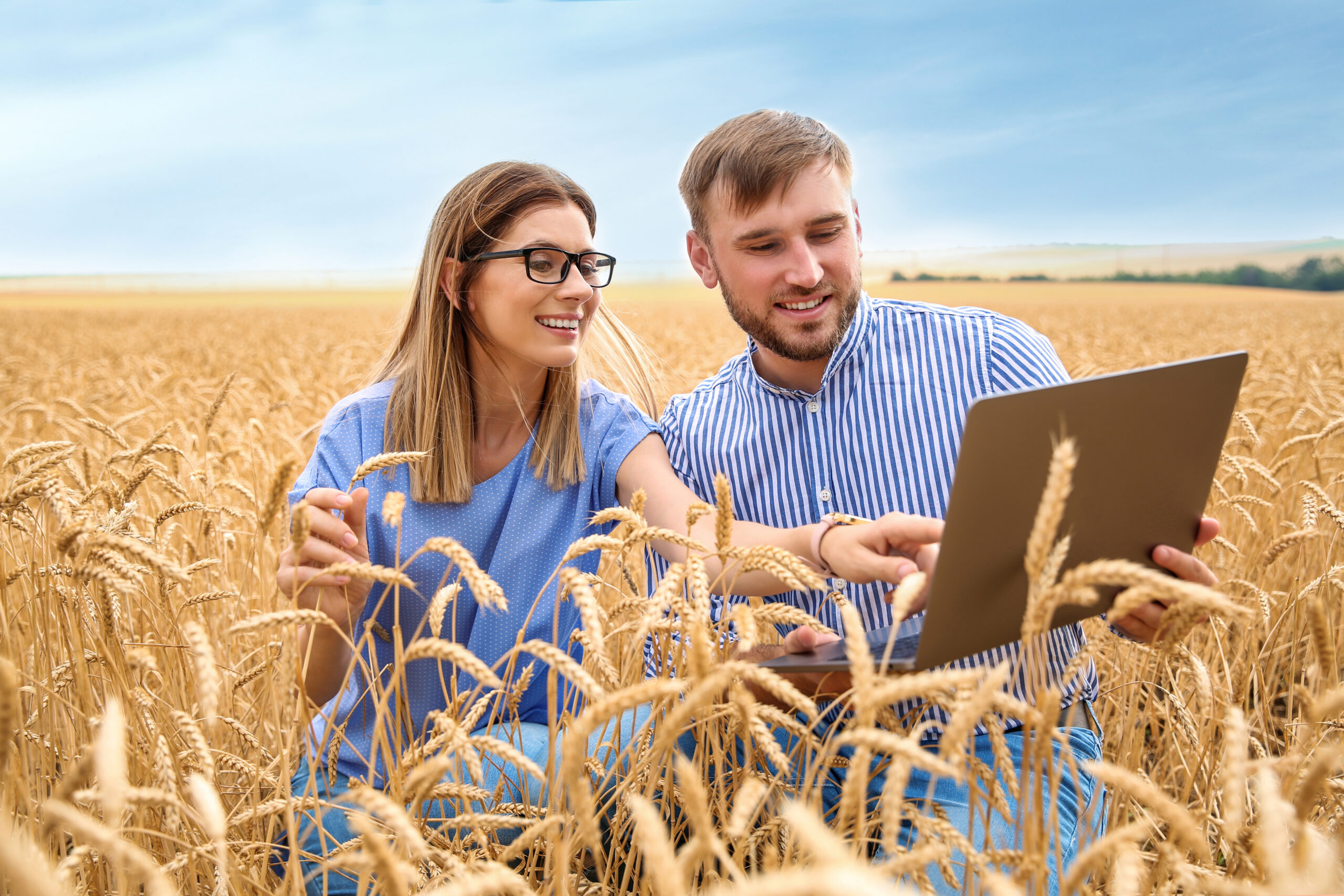 Young agronomists in grain field. Cereal farming